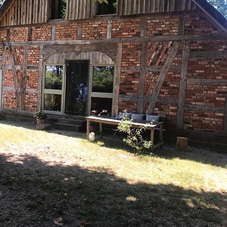 Gemuetliche Ferienwohnung An Der Elbe Bleckede Exterior photo