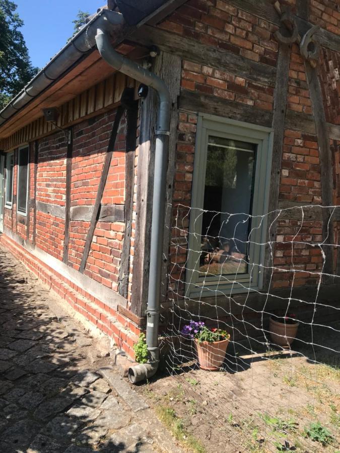 Gemuetliche Ferienwohnung An Der Elbe Bleckede Exterior photo